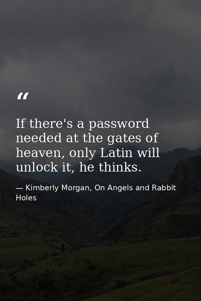 If there's a password needed at the gates of heaven, only Latin will unlock it, he thinks. — Kimberly Morgan, On Angels and Rabbit Holes