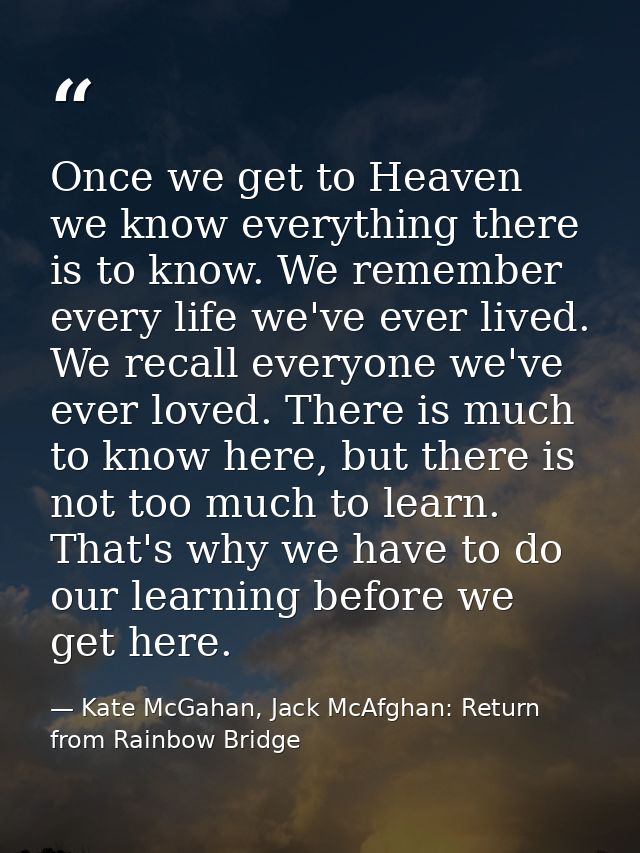 Once we get to Heaven we know everything there is to know. We remember every life we've ever lived. We recall everyone w — Kate McGahan, Jack McAfghan: Return from Rainbow Bridge