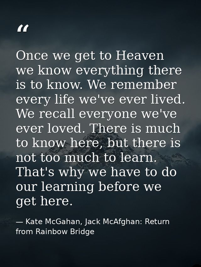 Once we get to Heaven we know everything there is to know. We remember every life we've ever lived. We recall everyone w — Kate McGahan, Jack McAfghan: Return from Rainbow Bridge