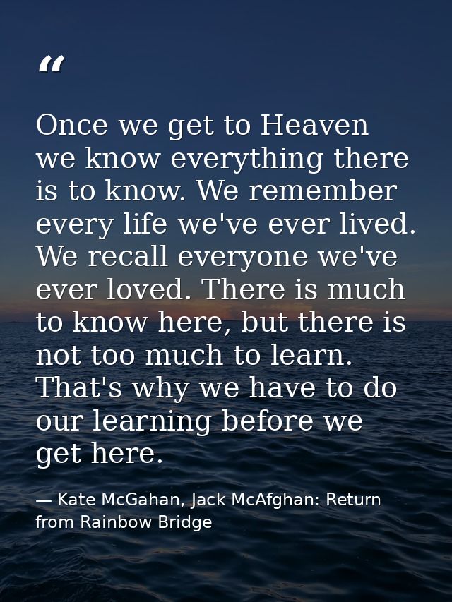 Once we get to Heaven we know everything there is to know. We remember every life we've ever lived. We recall everyone w — Kate McGahan, Jack McAfghan: Return from Rainbow Bridge