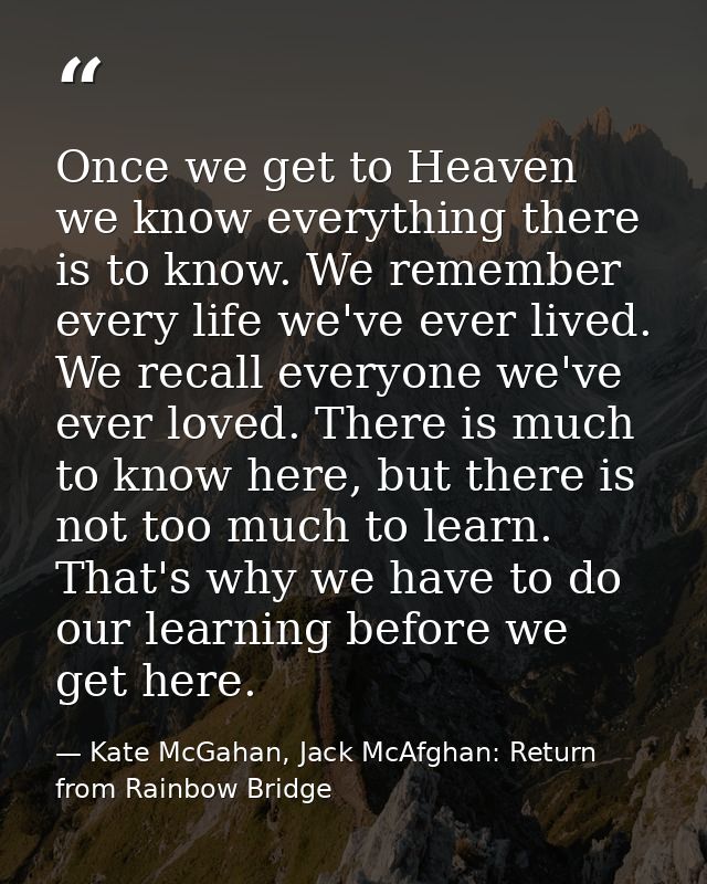 Once we get to Heaven we know everything there is to know. We remember every life we've ever lived. We recall everyone w — Kate McGahan, Jack McAfghan: Return from Rainbow Bridge