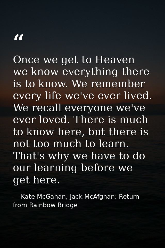 Once we get to Heaven we know everything there is to know. We remember every life we've ever lived. We recall everyone w — Kate McGahan, Jack McAfghan: Return from Rainbow Bridge