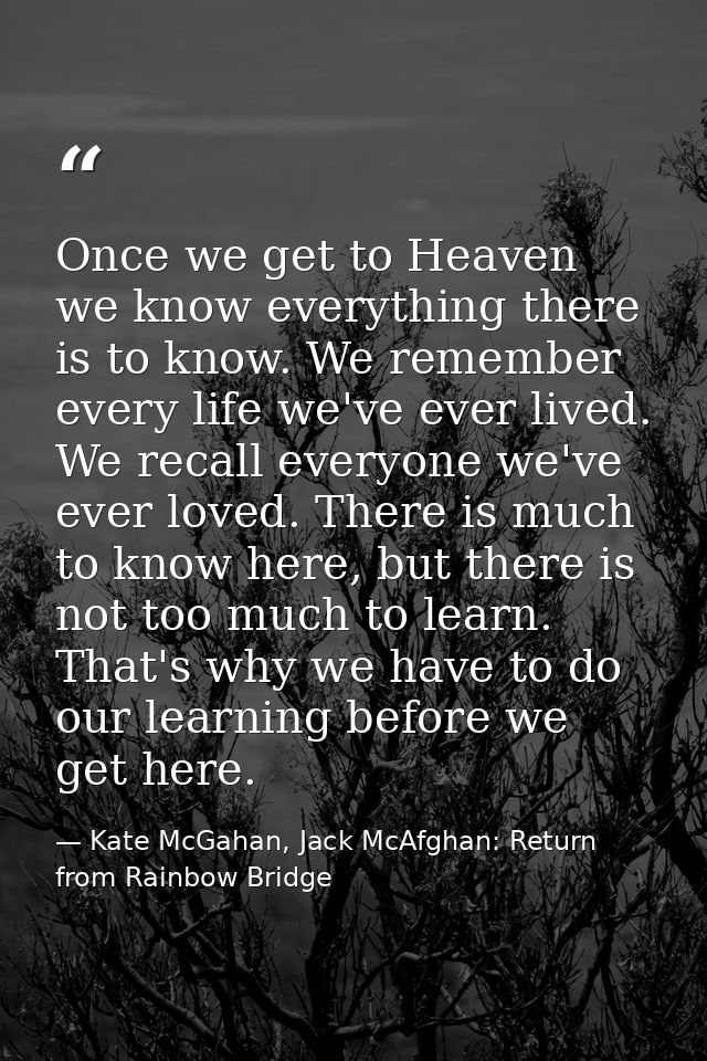 Once we get to Heaven we know everything there is to know. We remember every life we've ever lived. We recall everyone w — Kate McGahan, Jack McAfghan: Return from Rainbow Bridge