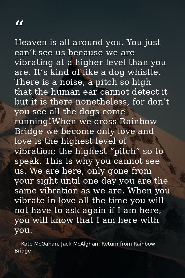 Heaven is all around you. You just can’t see us because we are vibrating at a higher level than you are. It’s kind of li — Kate McGahan, Jack McAfghan: Return from Rainbow Bridge