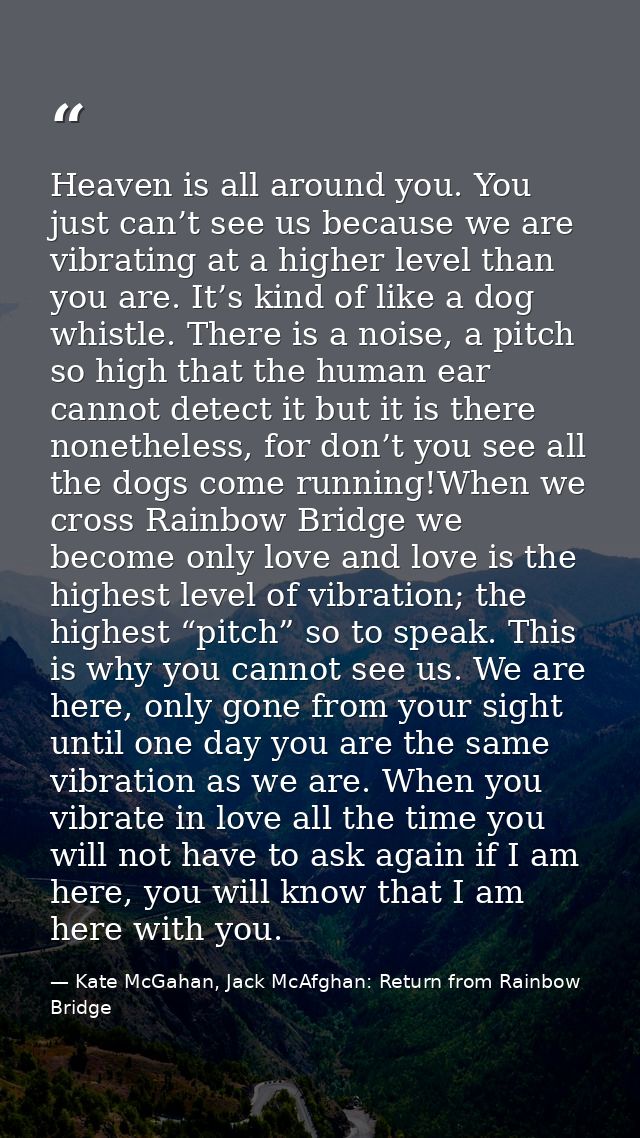 Heaven is all around you. You just can’t see us because we are vibrating at a higher level than you are. It’s kind of li — Kate McGahan, Jack McAfghan: Return from Rainbow Bridge