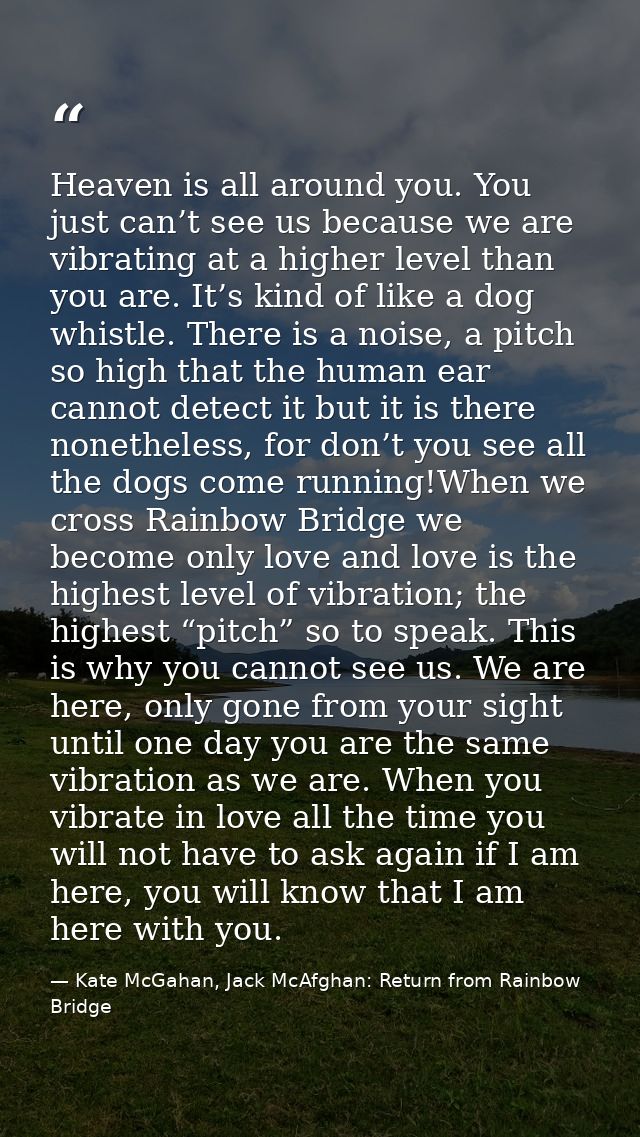 Heaven is all around you. You just can’t see us because we are vibrating at a higher level than you are. It’s kind of li — Kate McGahan, Jack McAfghan: Return from Rainbow Bridge
