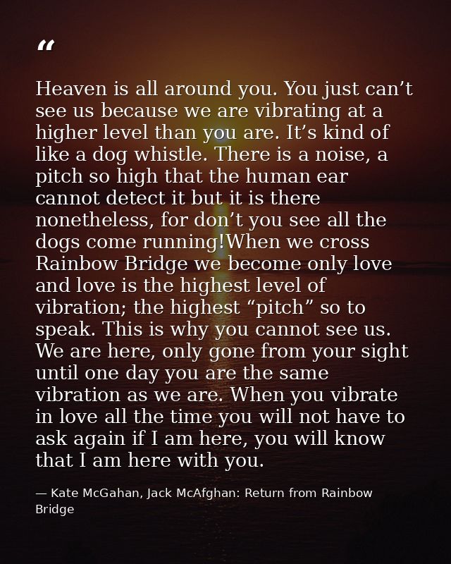 Heaven is all around you. You just can’t see us because we are vibrating at a higher level than you are. It’s kind of li — Kate McGahan, Jack McAfghan: Return from Rainbow Bridge