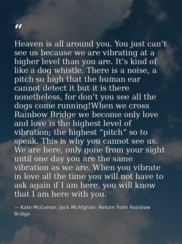 Heaven is all around you. You just can’t see us because we are vibrating at a higher level than you are. It’s kind of li — Kate McGahan, Jack McAfghan: Return from Rainbow Bridge