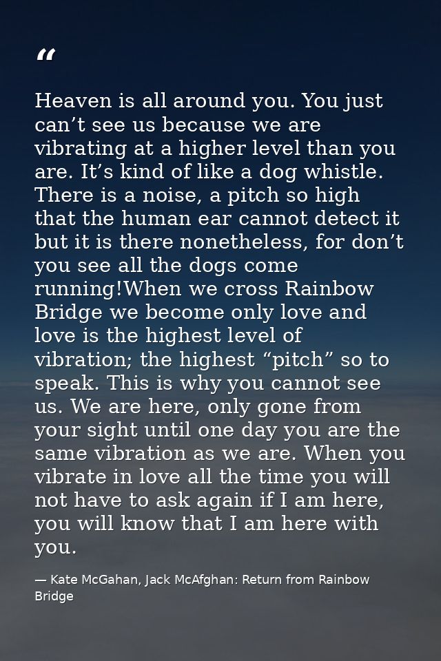 Heaven is all around you. You just can’t see us because we are vibrating at a higher level than you are. It’s kind of li — Kate McGahan, Jack McAfghan: Return from Rainbow Bridge