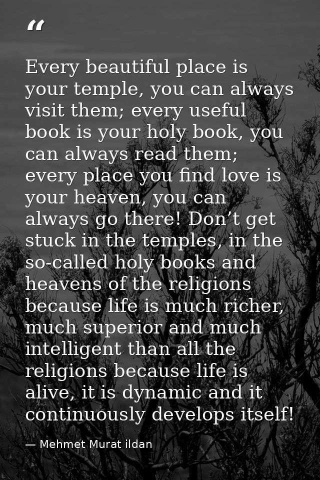 Every beautiful place is your temple, you can always visit them; every useful book is your holy book, you can always rea — Mehmet Murat ildan