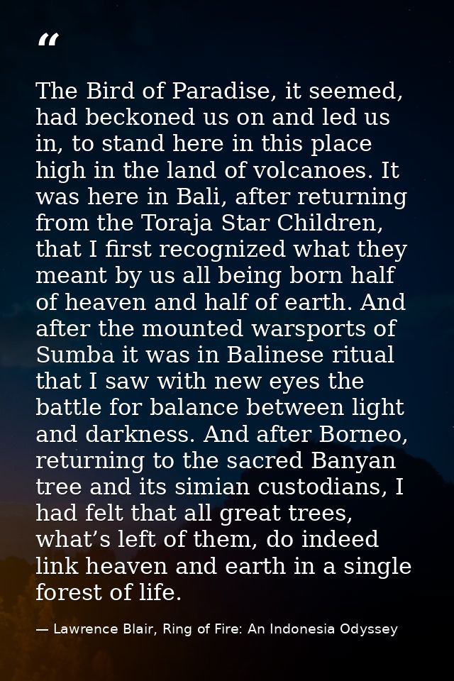 The Bird of Paradise, it seemed, had beckoned us on and led us in, to stand here in this place high in the land of volca — Lawrence Blair, Ring of Fire: An Indonesia Odyssey