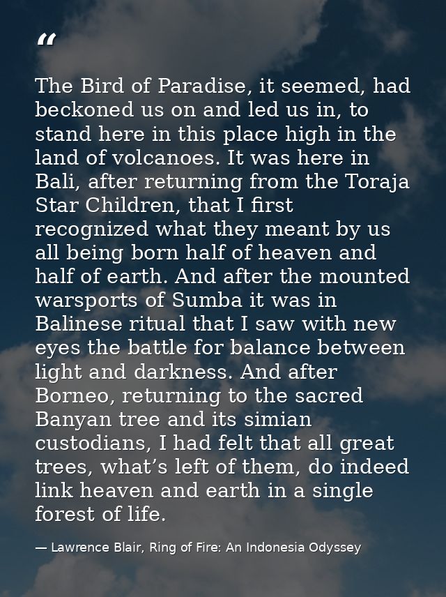 The Bird of Paradise, it seemed, had beckoned us on and led us in, to stand here in this place high in the land of volca — Lawrence Blair, Ring of Fire: An Indonesia Odyssey