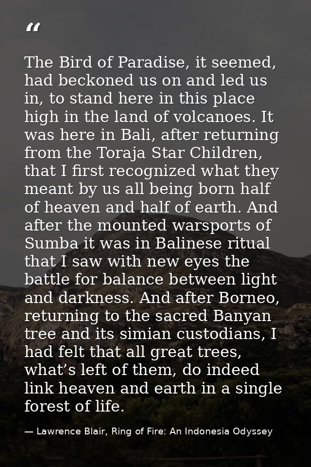 The Bird of Paradise, it seemed, had beckoned us on and led us in, to stand here in this place high in the land of volca — Lawrence Blair, Ring of Fire: An Indonesia Odyssey