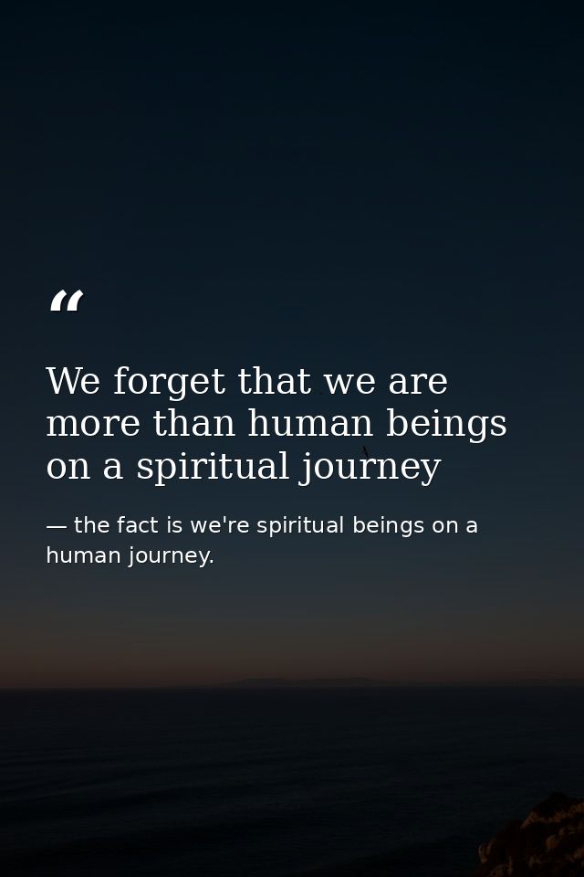 We forget that we are more than human beings on a spiritual journey — the fact is we're spiritual beings on a human journey.