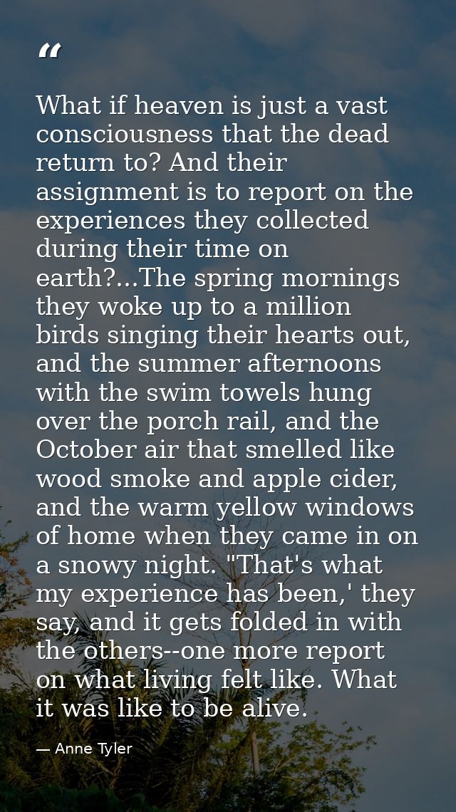 What if heaven is just a vast consciousness that the dead return to? And their assignment is to report on the experience — Anne Tyler