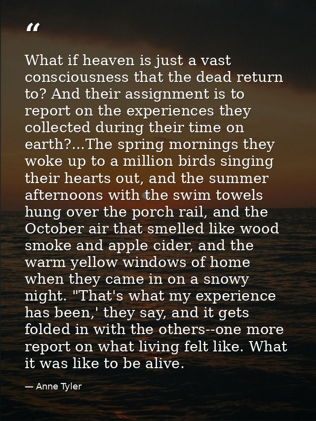 What if heaven is just a vast consciousness that the dead return to? And their assignment is to report on the experience — Anne Tyler