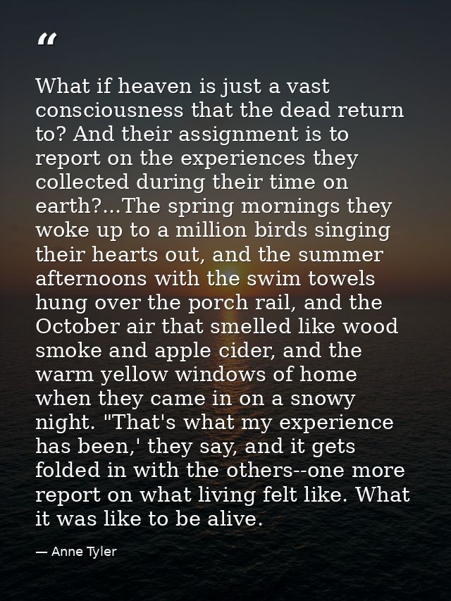 What if heaven is just a vast consciousness that the dead return to? And their assignment is to report on the experience — Anne Tyler