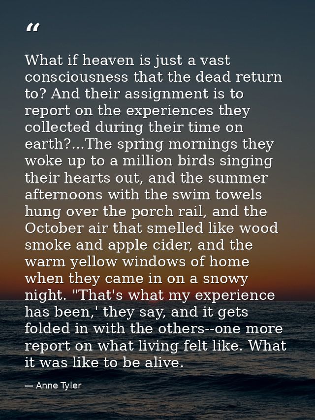 What if heaven is just a vast consciousness that the dead return to? And their assignment is to report on the experience — Anne Tyler
