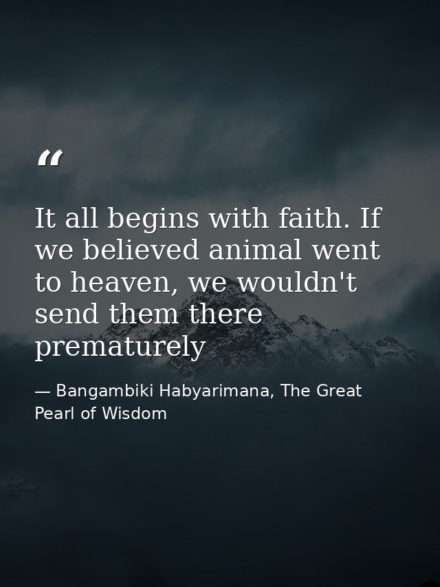 It all begins with faith. If we believed animal went to heaven, we wouldn't send them there prematurely — Bangambiki Habyarimana, The Great Pearl of Wisdom