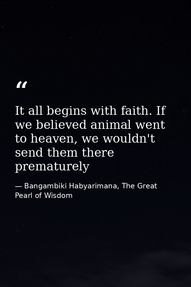 It all begins with faith. If we believed animal went to heaven, we wouldn't send them there prematurely — Bangambiki Habyarimana, The Great Pearl of Wisdom
