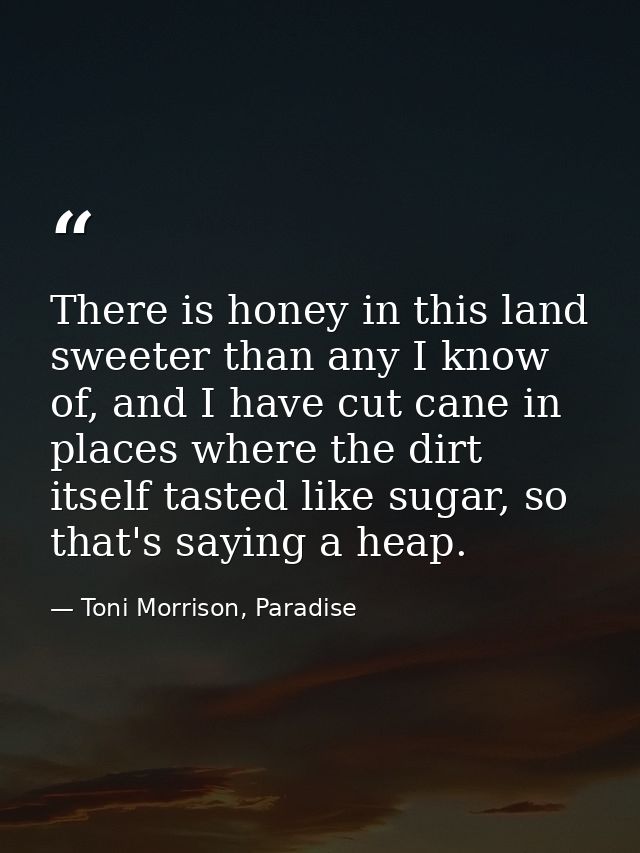 There is honey in this land sweeter than any I know of, and I have cut cane in places where the dirt itself tasted like  — Toni Morrison, Paradise