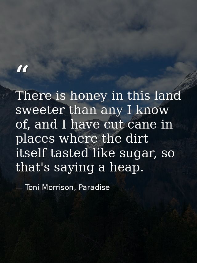 There is honey in this land sweeter than any I know of, and I have cut cane in places where the dirt itself tasted like  — Toni Morrison, Paradise
