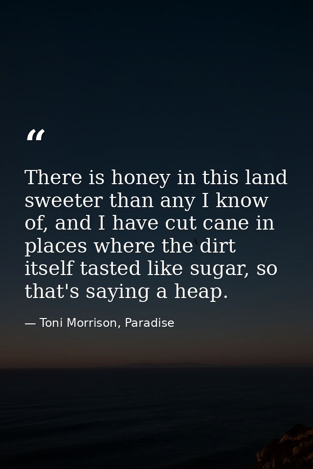 There is honey in this land sweeter than any I know of, and I have cut cane in places where the dirt itself tasted like  — Toni Morrison, Paradise