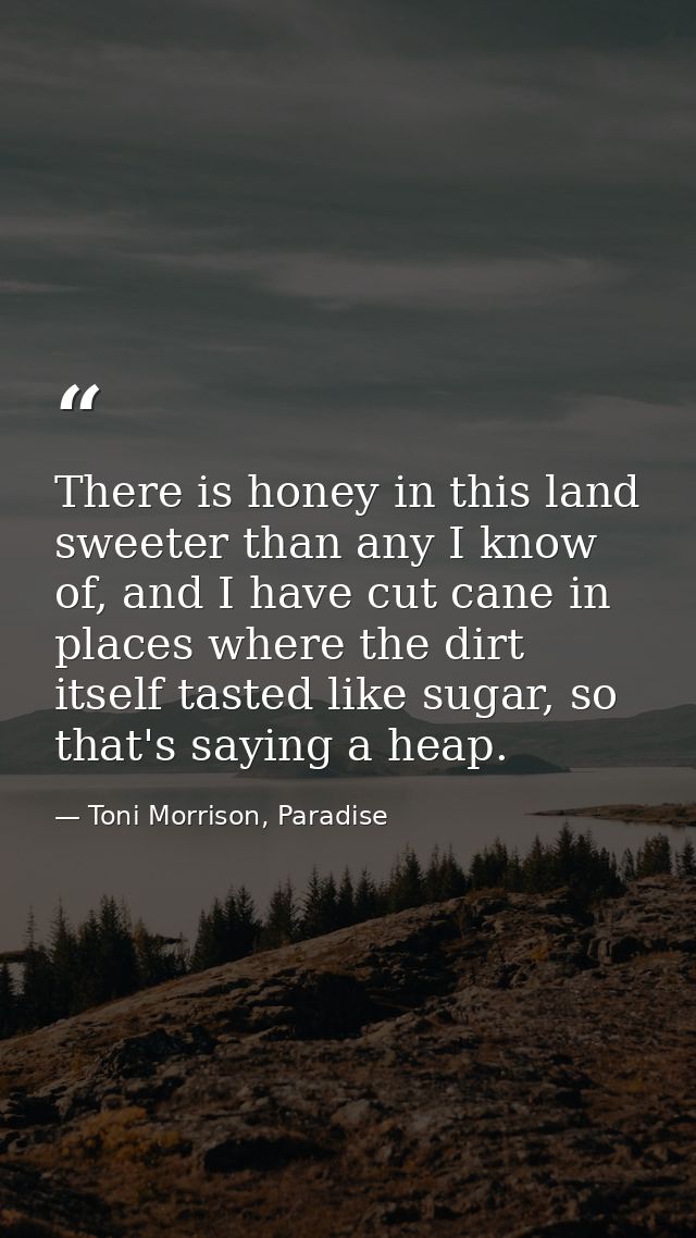 There is honey in this land sweeter than any I know of, and I have cut cane in places where the dirt itself tasted like  — Toni Morrison, Paradise