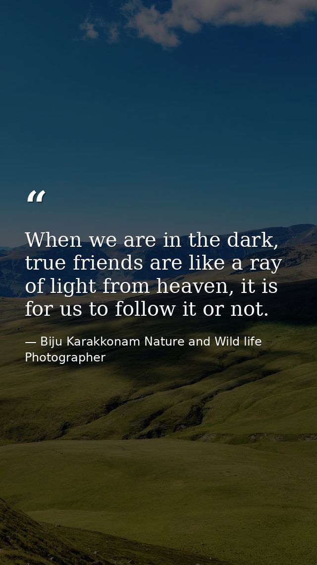 When we are in the dark, true friends are like a ray of light from heaven, it is for us to follow it or not. — Biju Karakkonam Nature and Wild life Photographer