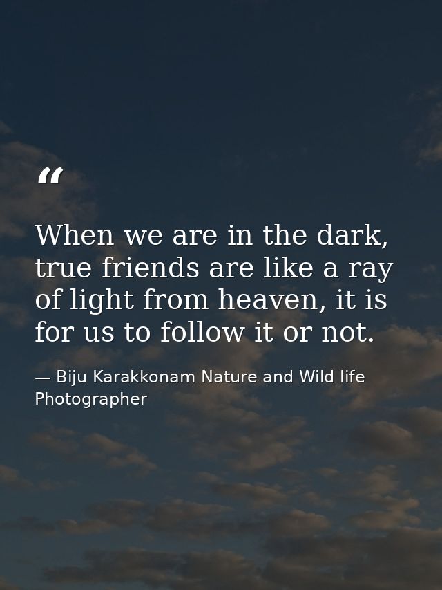 When we are in the dark, true friends are like a ray of light from heaven, it is for us to follow it or not. — Biju Karakkonam Nature and Wild life Photographer