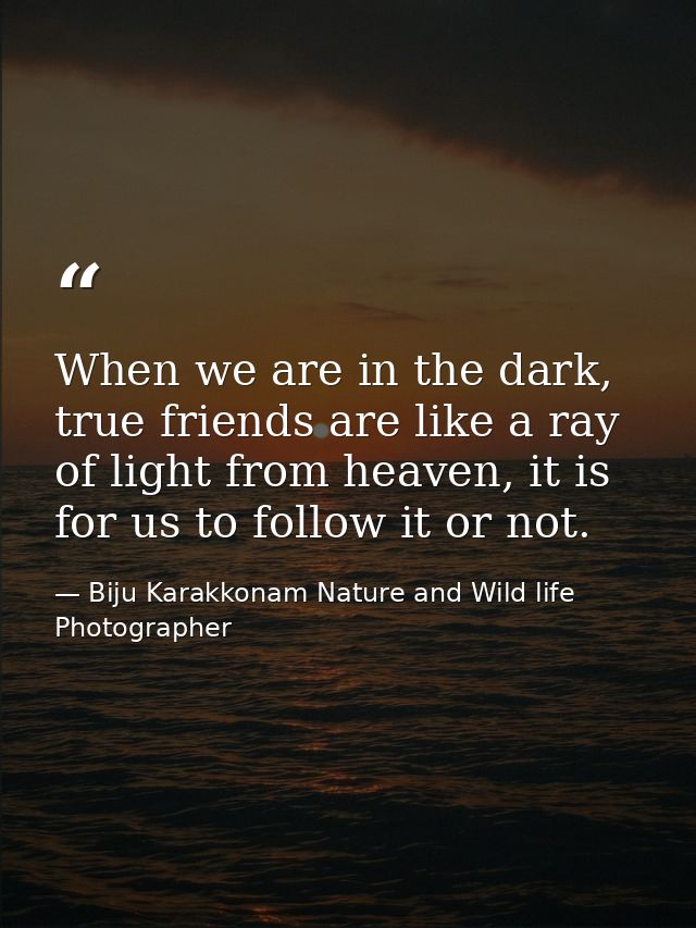 When we are in the dark, true friends are like a ray of light from heaven, it is for us to follow it or not. — Biju Karakkonam Nature and Wild life Photographer