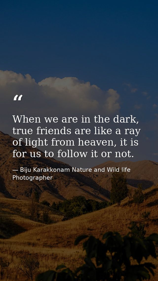 When we are in the dark, true friends are like a ray of light from heaven, it is for us to follow it or not. — Biju Karakkonam Nature and Wild life Photographer
