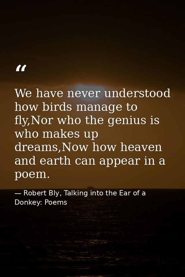 We have never understood how birds manage to fly,Nor who the genius is who makes up dreams,Now how heaven and earth can  — Robert Bly, Talking into the Ear of a Donkey: Poems