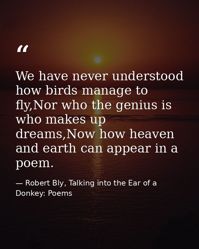 We have never understood how birds manage to fly,Nor who the genius is who makes up dreams,Now how heaven and earth can  — Robert Bly, Talking into the Ear of a Donkey: Poems
