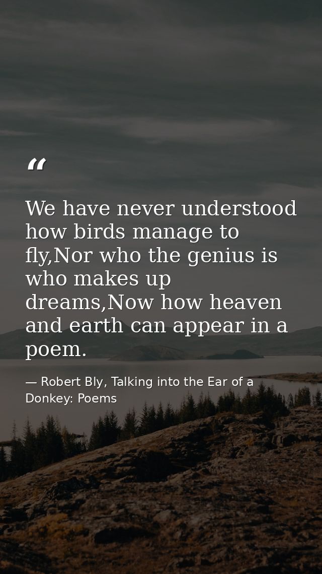 We have never understood how birds manage to fly,Nor who the genius is who makes up dreams,Now how heaven and earth can  — Robert Bly, Talking into the Ear of a Donkey: Poems