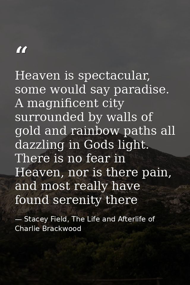 Heaven is spectacular, some would say paradise. A magnificent city surrounded by walls of gold and rainbow paths all daz — Stacey Field, The Life and Afterlife of Charlie Brackwood