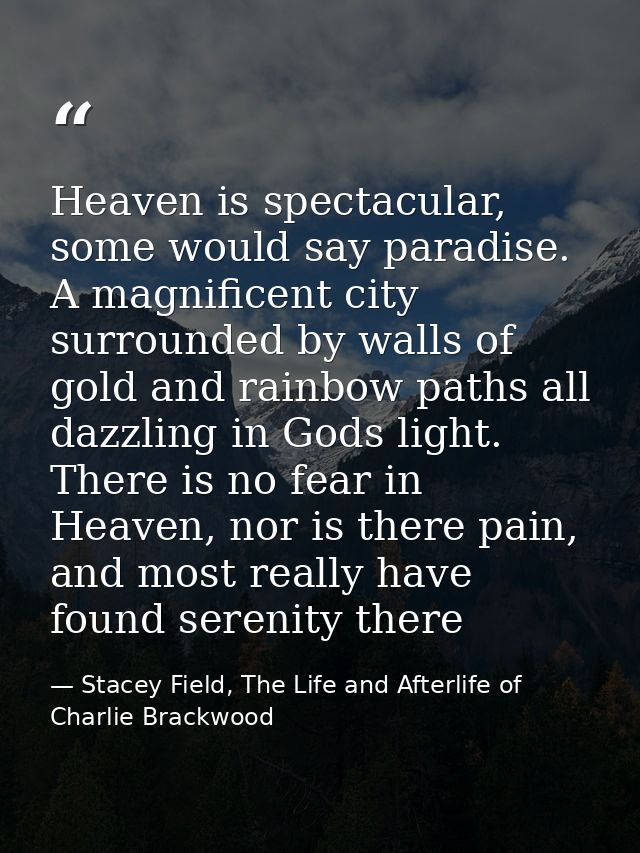 Heaven is spectacular, some would say paradise. A magnificent city surrounded by walls of gold and rainbow paths all daz — Stacey Field, The Life and Afterlife of Charlie Brackwood