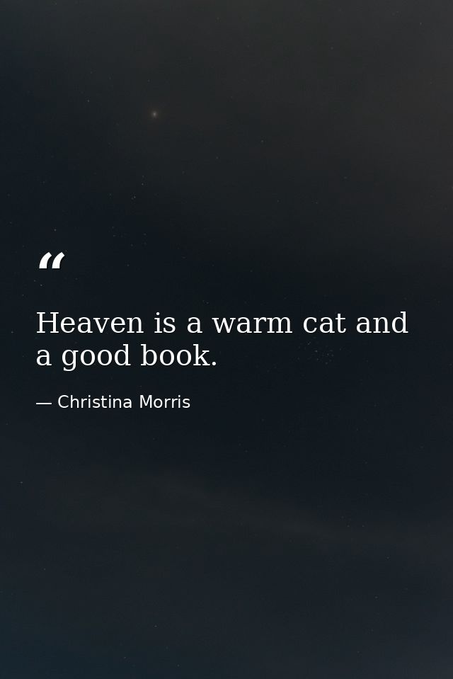 Heaven is a warm cat and a good book. — Christina Morris