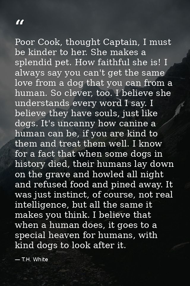 Poor Cook, thought Captain, I must be kinder to her. She makes a splendid pet. How faithful she is! I always say you can — T.H. White