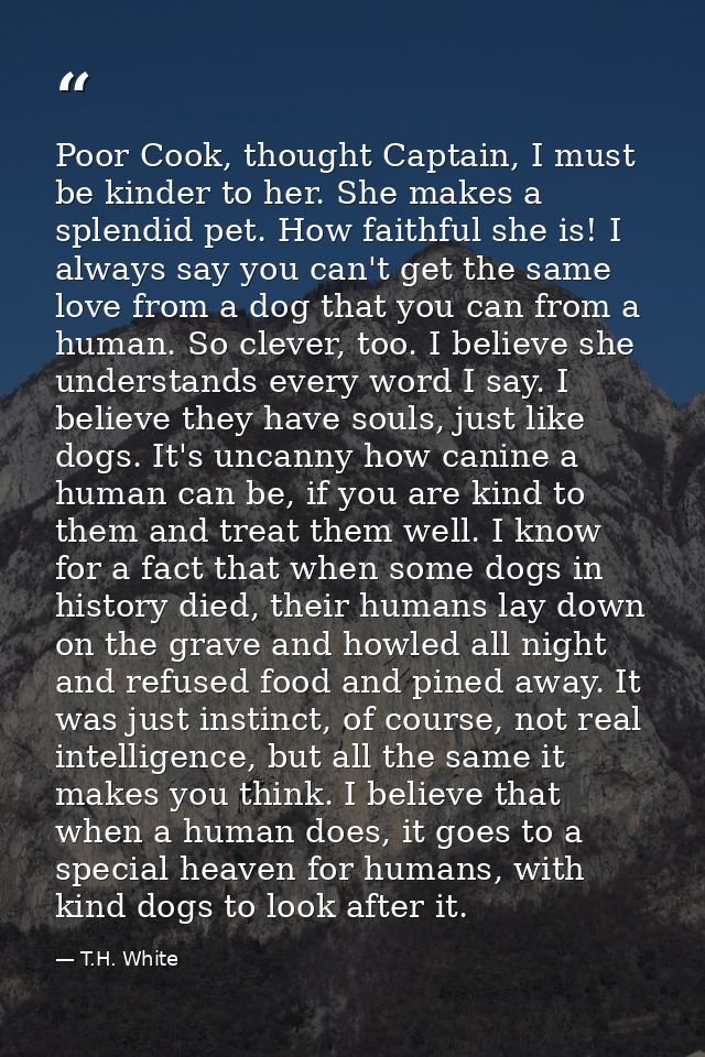 Poor Cook, thought Captain, I must be kinder to her. She makes a splendid pet. How faithful she is! I always say you can — T.H. White