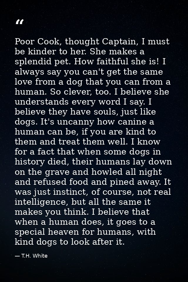 Poor Cook, thought Captain, I must be kinder to her. She makes a splendid pet. How faithful she is! I always say you can — T.H. White
