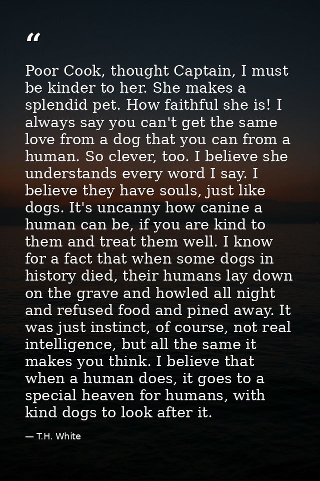 Poor Cook, thought Captain, I must be kinder to her. She makes a splendid pet. How faithful she is! I always say you can — T.H. White
