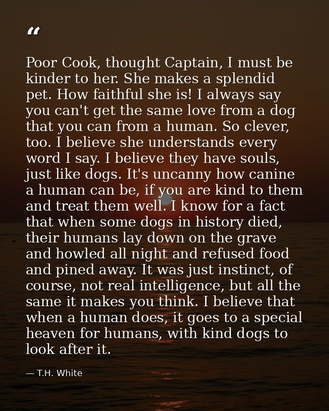 Poor Cook, thought Captain, I must be kinder to her. She makes a splendid pet. How faithful she is! I always say you can — T.H. White