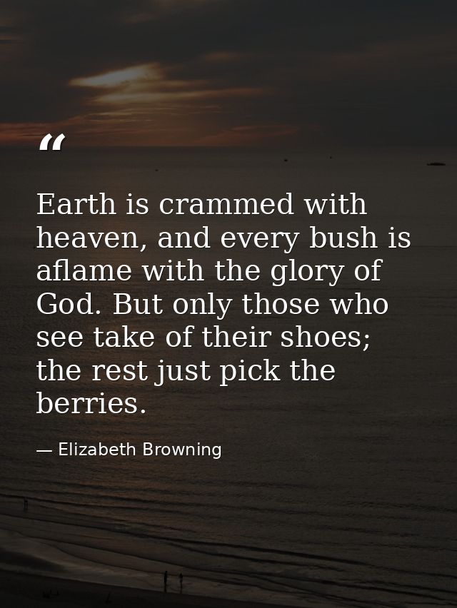 Earth is crammed with heaven, and every bush is aflame with the glory of God. But only those who see take of their shoes — Elizabeth Browning