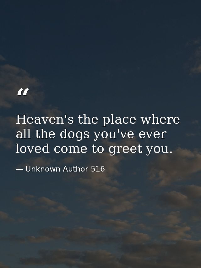 Heaven's the place where all the dogs you've ever loved come to greet you. — Unknown Author 516