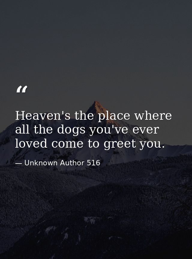 Heaven's the place where all the dogs you've ever loved come to greet you. — Unknown Author 516