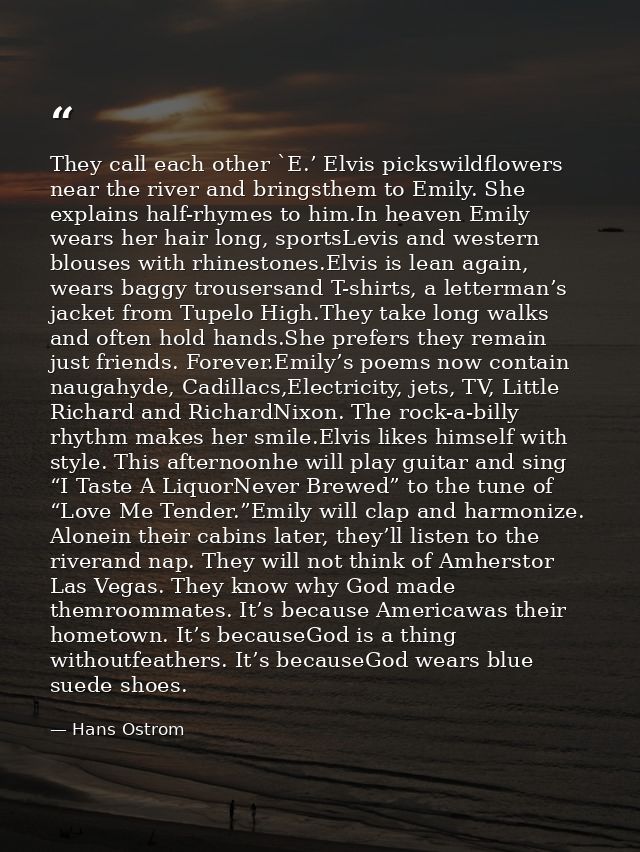They call each other `E.’ Elvis pickswildflowers near the river and bringsthem to Emily. She explains half-rhymes to him — Hans Ostrom