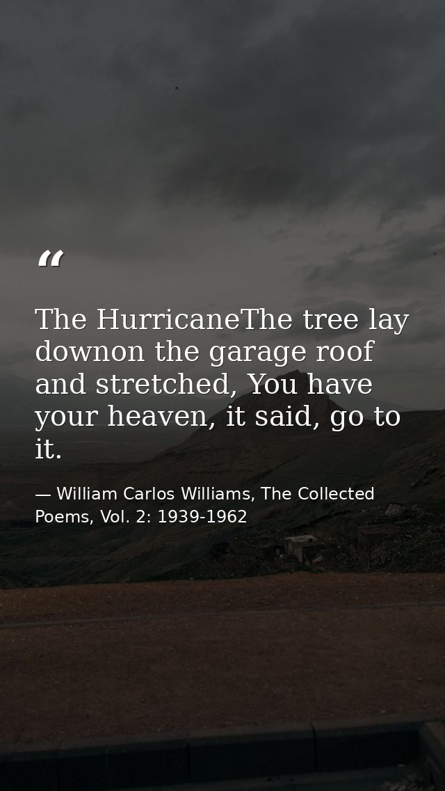 The HurricaneThe tree lay downon the garage roof and stretched, You have your heaven, it said, go to it. — William Carlos Williams, The Collected Poems, Vol. 2: 1939-1962