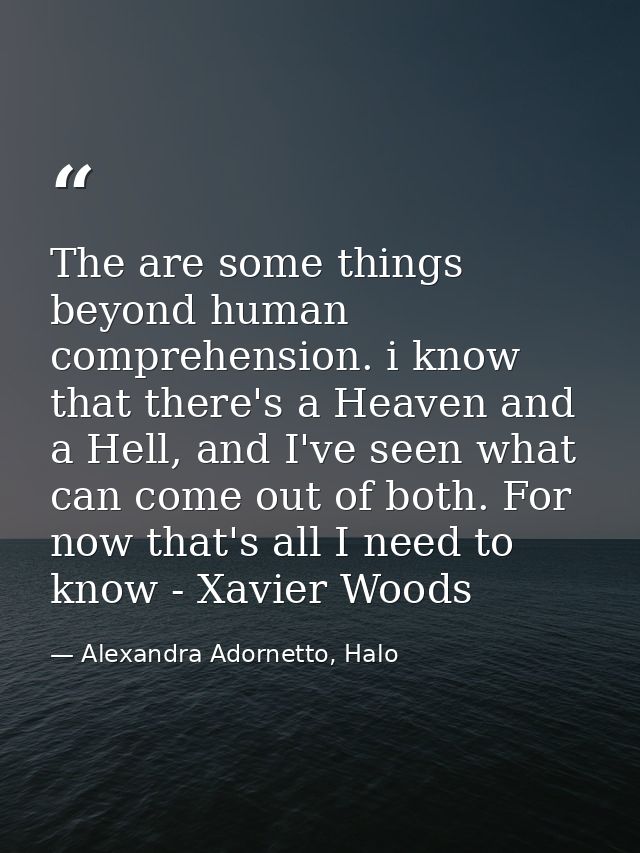The are some things beyond human comprehension. i know that there's a Heaven and a Hell, and I've seen what can come out — Alexandra Adornetto, Halo