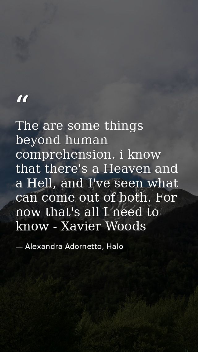 The are some things beyond human comprehension. i know that there's a Heaven and a Hell, and I've seen what can come out — Alexandra Adornetto, Halo